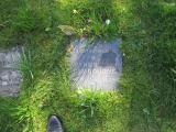 image of grave number 418765